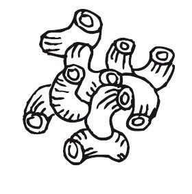 Иллюстрация к книге — Путь лапши. От Китая до Италии [i_082.jpg]