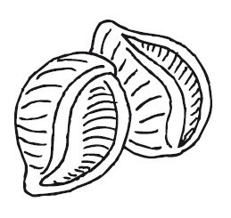 Иллюстрация к книге — Путь лапши. От Китая до Италии [i_083.jpg]