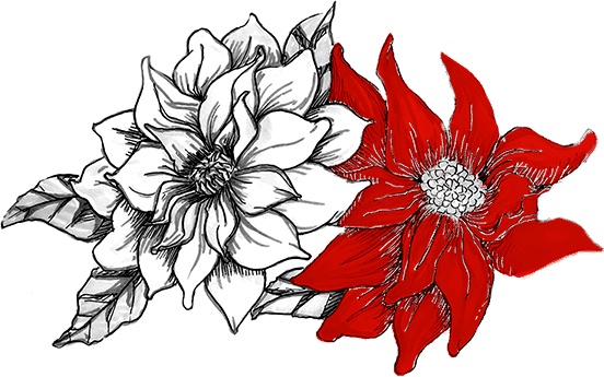 Иллюстрация к книге — Икигай. Японское искусство поиска счастья и смысла в повседневной жизни [i_008.jpg]