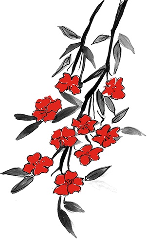 Иллюстрация к книге — Икигай. Японское искусство поиска счастья и смысла в повседневной жизни [i_011.jpg]