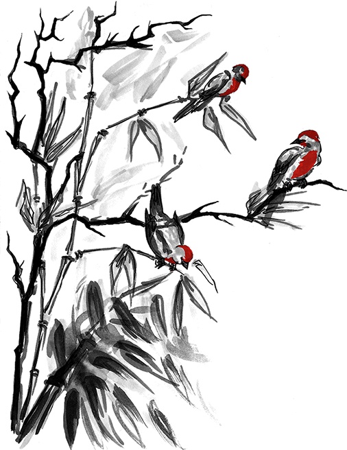 Иллюстрация к книге — Икигай. Японское искусство поиска счастья и смысла в повседневной жизни [i_018.jpg]