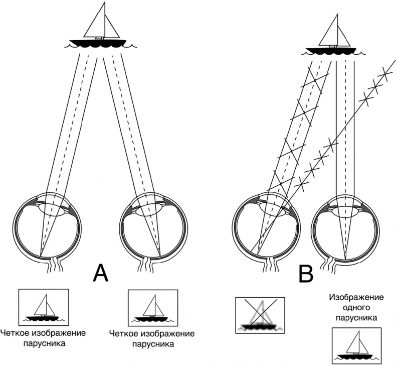 Иллюстрация к книге — Про глазки. Как помочь ребенку видеть мир без очков [_5.jpg]