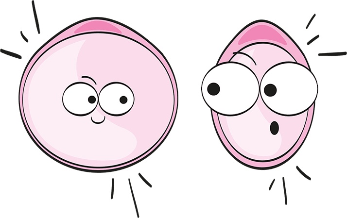 Иллюстрация к книге — Целлюлит. Циничный оберег от главного врага женщин [i_007.jpg]