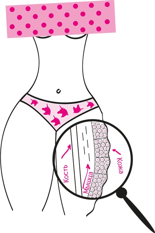 Иллюстрация к книге — Целлюлит. Циничный оберег от главного врага женщин [i_015.jpg]
