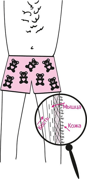 Иллюстрация к книге — Целлюлит. Циничный оберег от главного врага женщин [i_016.jpg]