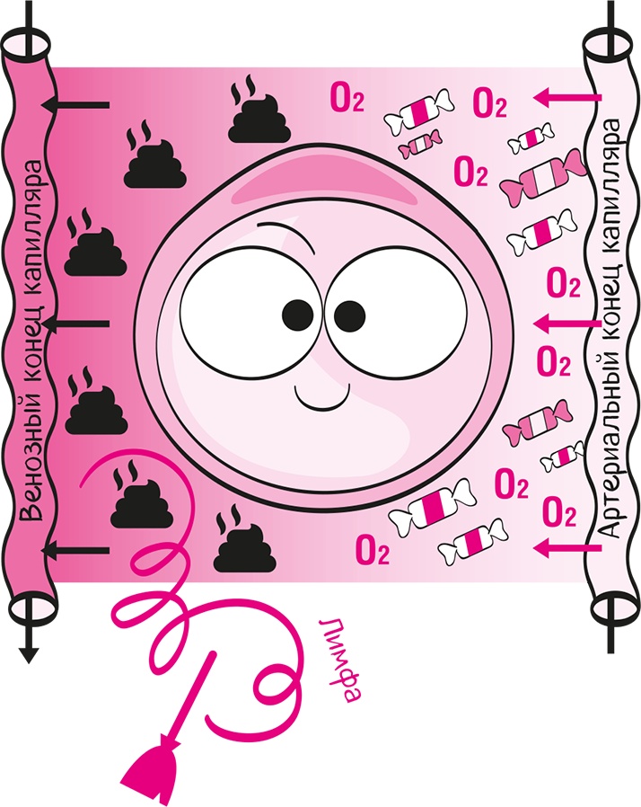 Иллюстрация к книге — Целлюлит. Циничный оберег от главного врага женщин [i_017.jpg]