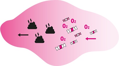 Иллюстрация к книге — Целлюлит. Циничный оберег от главного врага женщин [i_037.jpg]