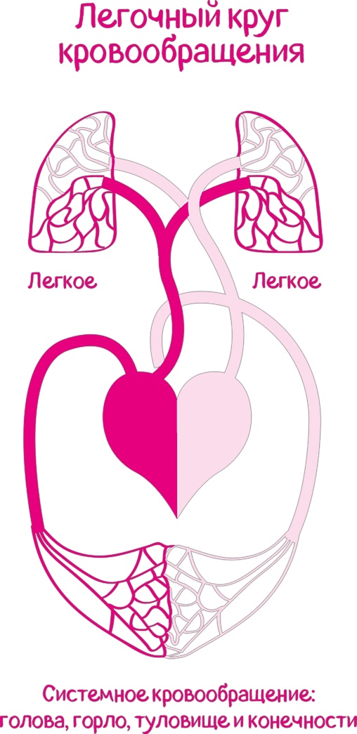 Иллюстрация к книге — Целлюлит. Циничный оберег от главного врага женщин [i_041.jpg]