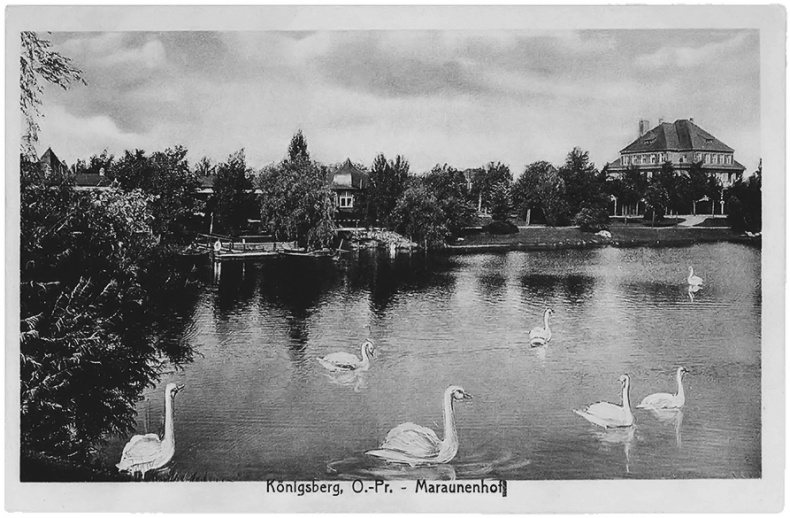 Иллюстрация к книге — Золотая тень Кёнигсберга [i_007.jpg]