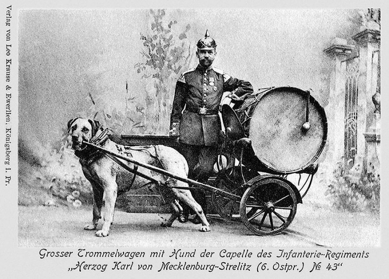 Иллюстрация к книге — Прогулки по Кенигсбергу [i_097.jpg]