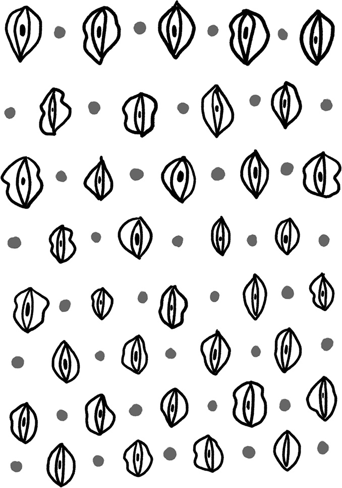 Иллюстрация к книге — Viva la vagina. Хватит замалчивать скрытые возможности органа, который не принято называть [i_001.jpg]