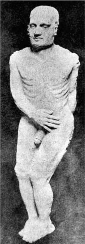 Иллюстрация к книге — Мифы об эволюции человека [i_002.jpg]