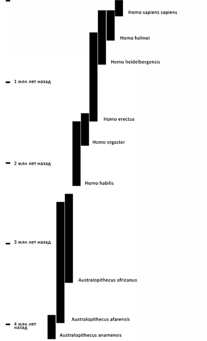 Иллюстрация к книге — Мифы об эволюции человека [i_012.jpg]