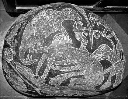 Иллюстрация к книге — Мифы об эволюции человека [i_013.jpg]