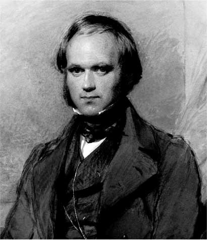 Иллюстрация к книге — Мифы об эволюции человека [i_018.jpg]