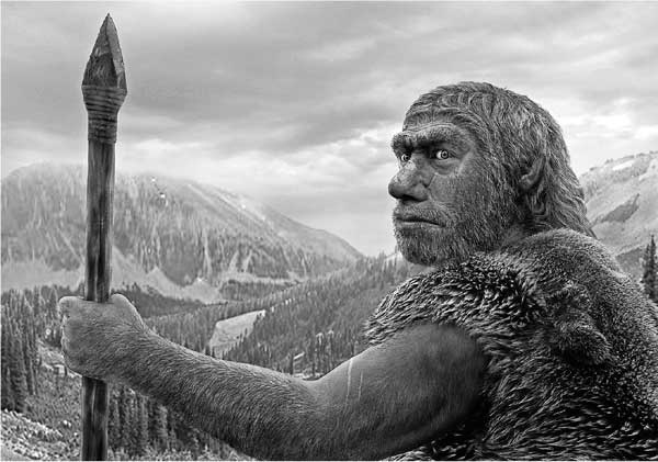 Иллюстрация к книге — Мифы об эволюции человека [i_029.jpg]