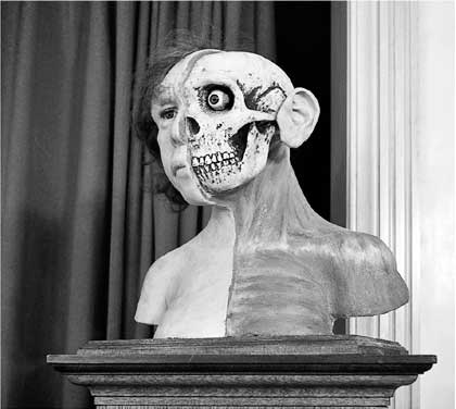 Иллюстрация к книге — Мифы об эволюции человека [i_036.jpg]