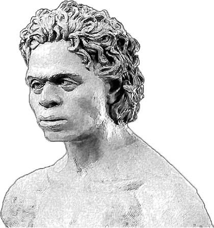 Иллюстрация к книге — Мифы об эволюции человека [i_048.jpg]