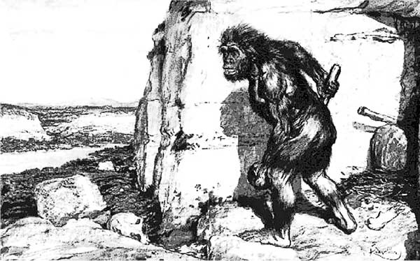 Иллюстрация к книге — Мифы об эволюции человека [i_064.jpg]