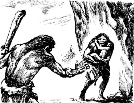 Иллюстрация к книге — Мифы об эволюции человека [i_067.jpg]