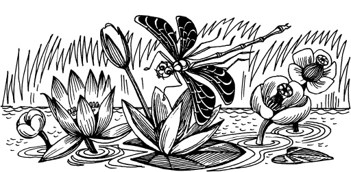 Иллюстрация к книге — Чудеса на магической неделе. Приключения бяки [_106.jpg]