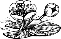 Иллюстрация к книге — Чудеса на магической неделе. Приключения бяки [_108.jpg]