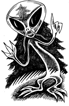 Иллюстрация к книге — Чудеса на магической неделе. Приключения бяки [_111.jpg]