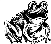 Иллюстрация к книге — Чудеса на магической неделе. Приключения бяки [_61.jpg]