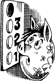 Иллюстрация к книге — Тайны Чёрных Холмов [_17.jpg]