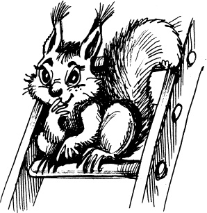 Иллюстрация к книге — Тайны Чёрных Холмов [_36.jpg]