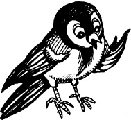 Иллюстрация к книге — Тайны Чёрных Холмов [_37.jpg]