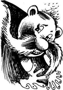 Иллюстрация к книге — Тайны Чёрных Холмов [_61.jpg]