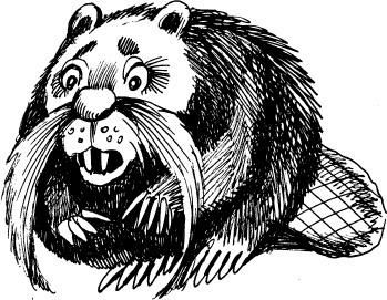 Иллюстрация к книге — Тайны Чёрных Холмов [_86.jpg]