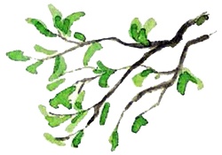 Иллюстрация к книге — Каос и Бьёрнар [i_041.jpg]