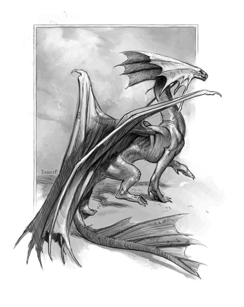 Иллюстрация к книге — Естественная история драконов [i_005.jpg]