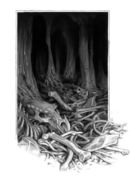 Иллюстрация к книге — Естественная история драконов [i_010.jpg]