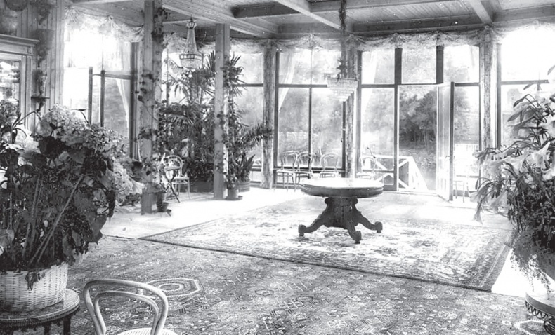 Иллюстрация к книге — Исторические здания Петербурга. Прошлое и современность. Адреса и обитатели [_143.jpg]