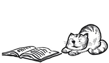 Иллюстрация к книге — Успеть сделать, пока ребенок не вырос. Приключения, игры, опыты [i_002.jpg]