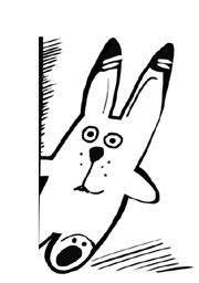 Иллюстрация к книге — Успеть сделать, пока ребенок не вырос. Приключения, игры, опыты [i_014.jpg]