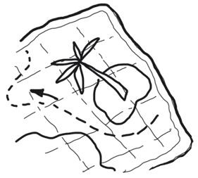 Иллюстрация к книге — Успеть сделать, пока ребенок не вырос. Приключения, игры, опыты [i_063.jpg]