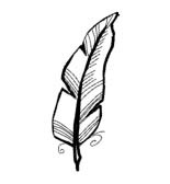 Иллюстрация к книге — Успеть сделать, пока ребенок не вырос. Приключения, игры, опыты [i_126.jpg]