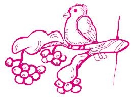 Иллюстрация к книге — Успеть сделать, пока ребенок не вырос. Приключения, игры, опыты [i_132.jpg]