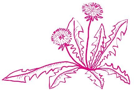 Иллюстрация к книге — Успеть сделать, пока ребенок не вырос. Приключения, игры, опыты [i_136.jpg]