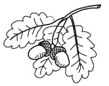 Иллюстрация к книге — Успеть сделать, пока ребенок не вырос. Приключения, игры, опыты [i_137.jpg]