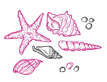 Иллюстрация к книге — Успеть сделать, пока ребенок не вырос. Приключения, игры, опыты [i_162.jpg]