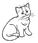 Иллюстрация к книге — Гениальность на кончиках пальцев! Развивающие пальчиковые игры для детей от 1 года до 4 лет [i_078.jpg]