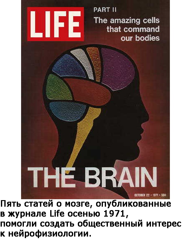 Иллюстрация к книге — Два игрока на одном поле мозга [i_014.jpg]