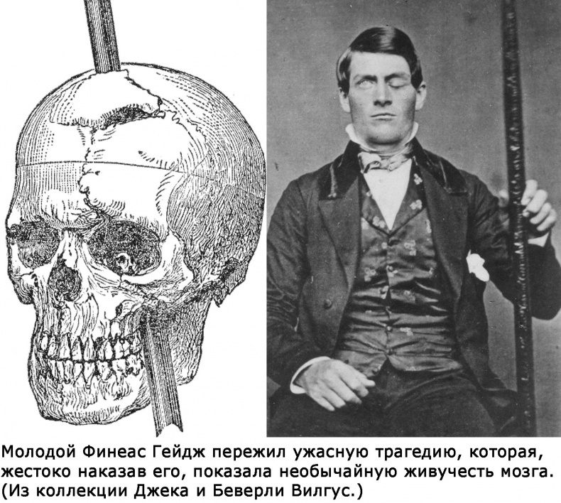 Иллюстрация к книге — Два игрока на одном поле мозга [i_016.jpg]