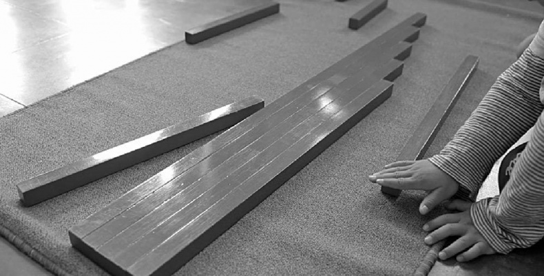 Иллюстрация к книге — Законы естественного развития ребенка [i_003.jpg]