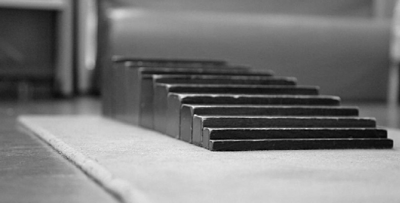 Иллюстрация к книге — Законы естественного развития ребенка [i_008.jpg]